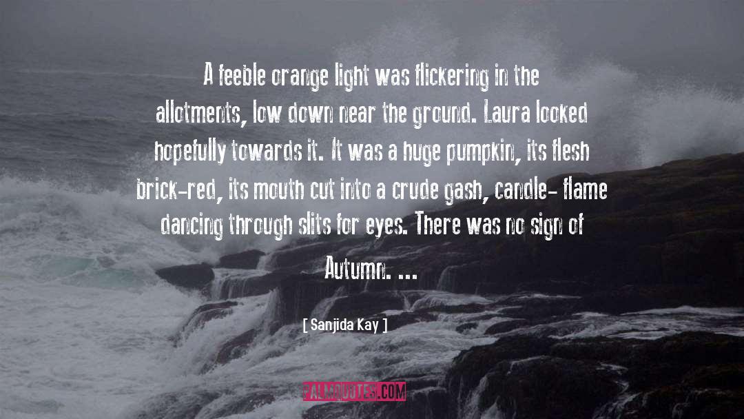 Autumn quotes by Sanjida Kay