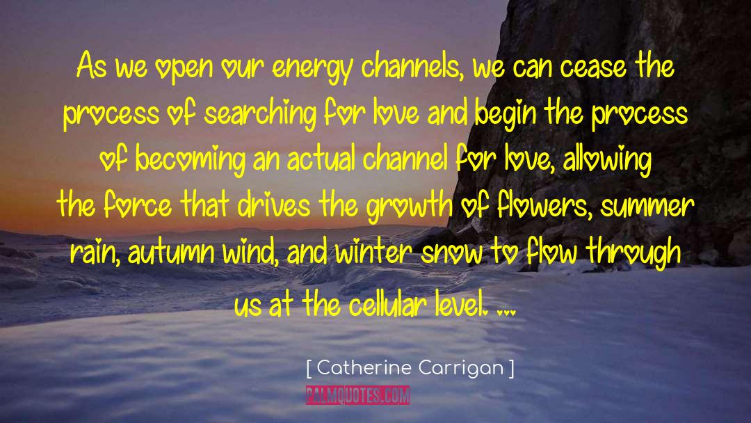 Autumn Wind quotes by Catherine Carrigan