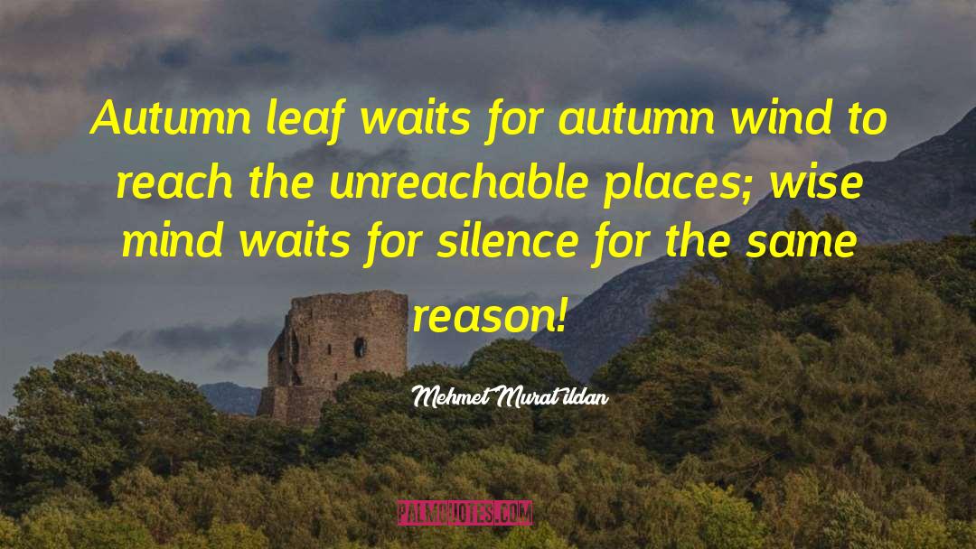 Autumn Wind quotes by Mehmet Murat Ildan
