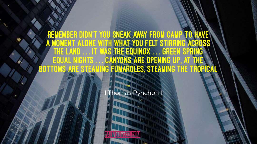 Autumnal Equinox quotes by Thomas Pynchon