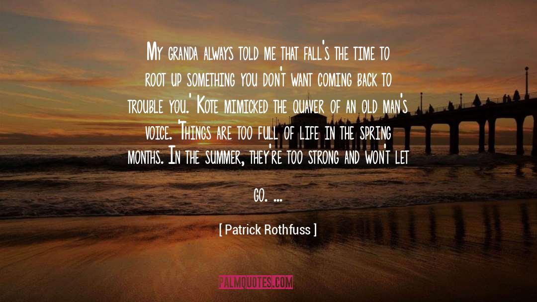 Autumns quotes by Patrick Rothfuss