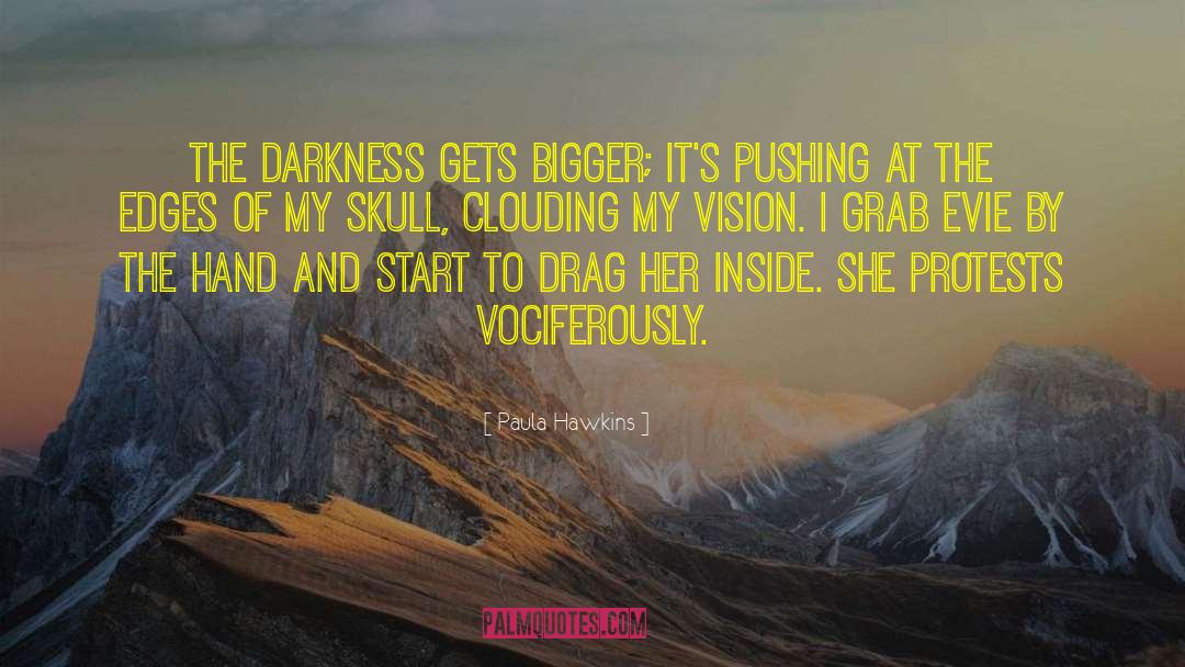 Auvray Vision quotes by Paula Hawkins