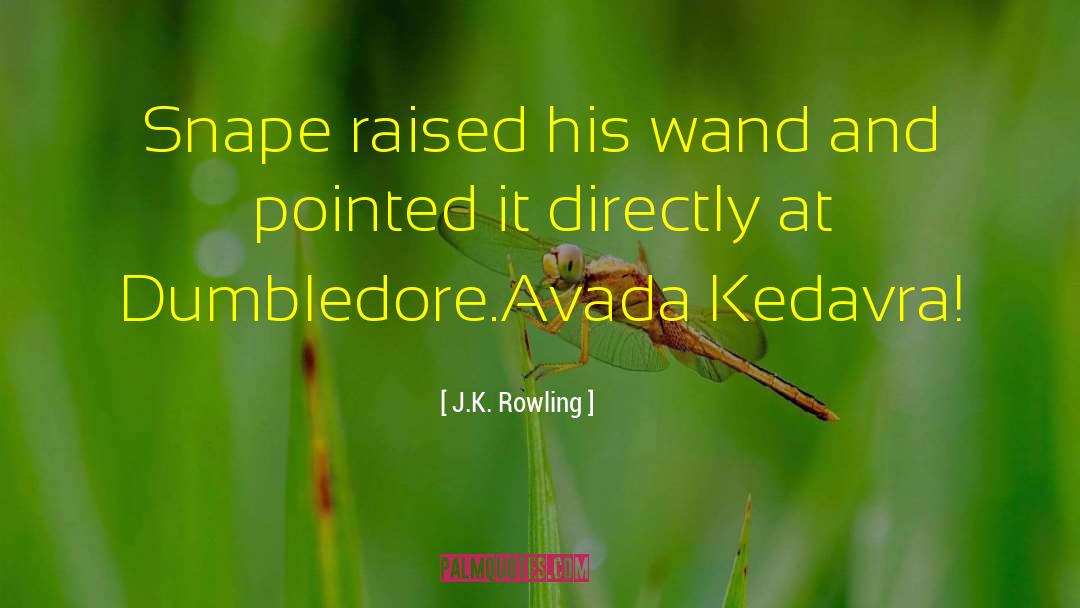 Avada Kedavra quotes by J.K. Rowling