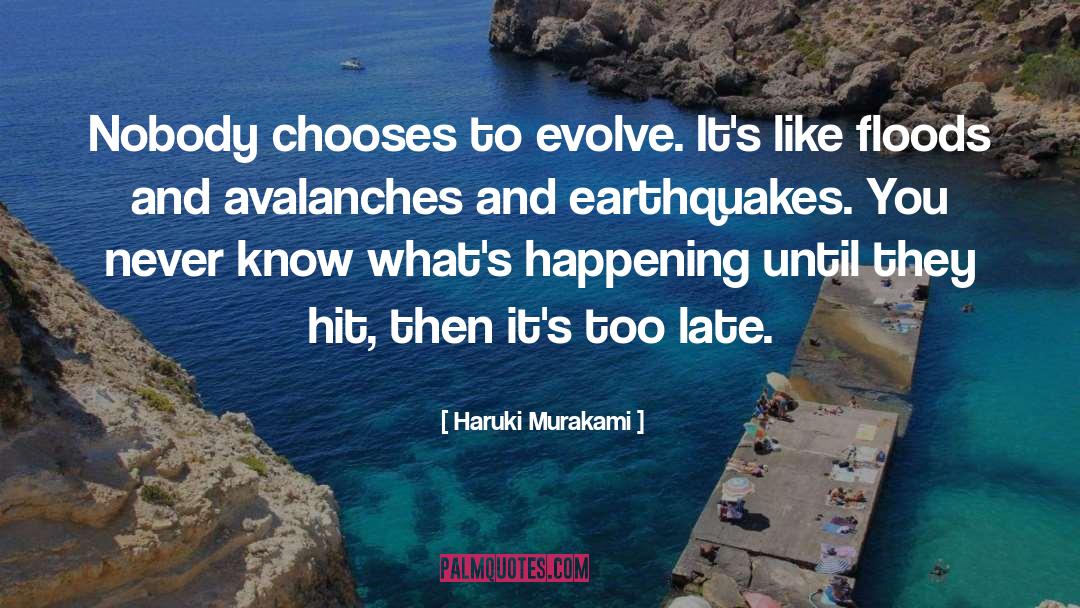 Avalanches quotes by Haruki Murakami