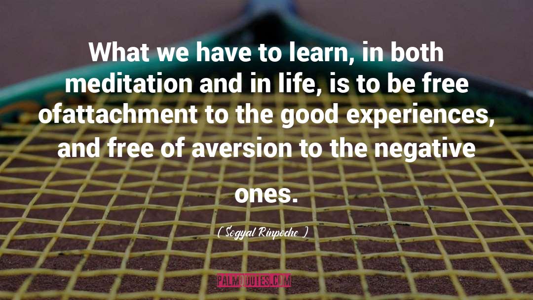Aversion quotes by Sogyal Rinpoche