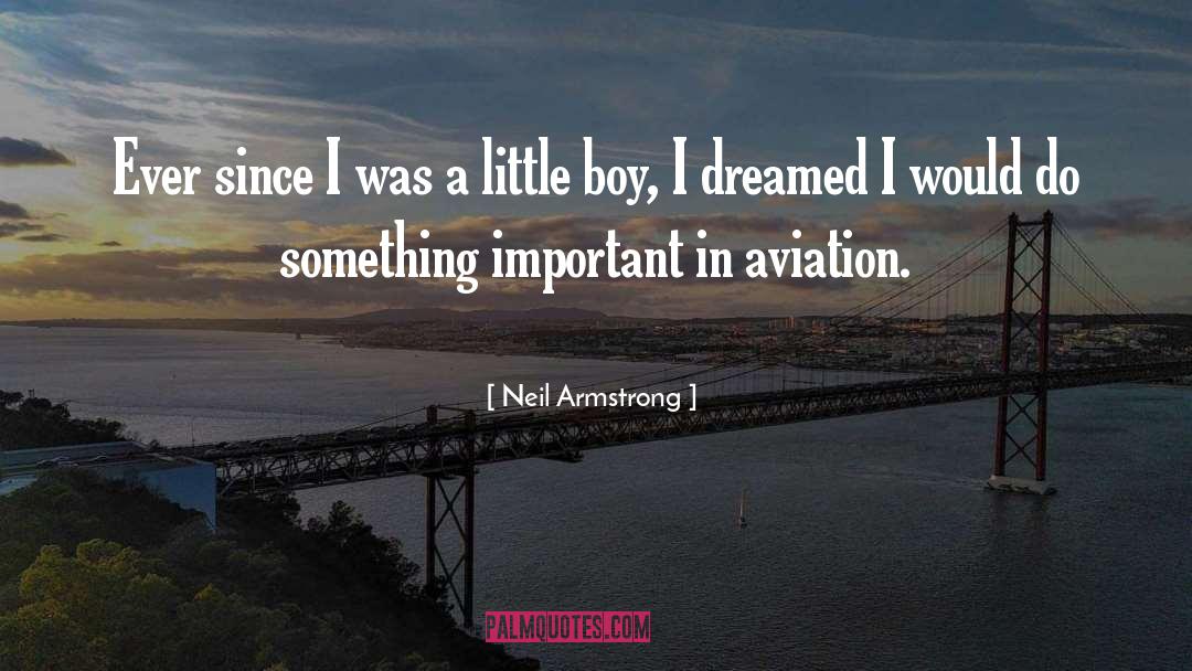 Aviation quotes by Neil Armstrong