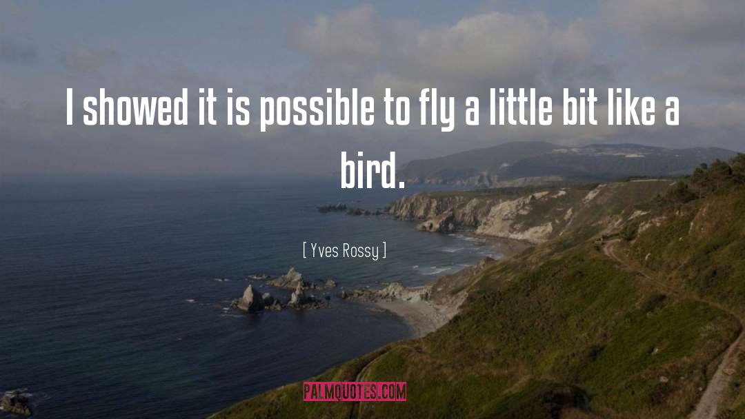 Aviation quotes by Yves Rossy
