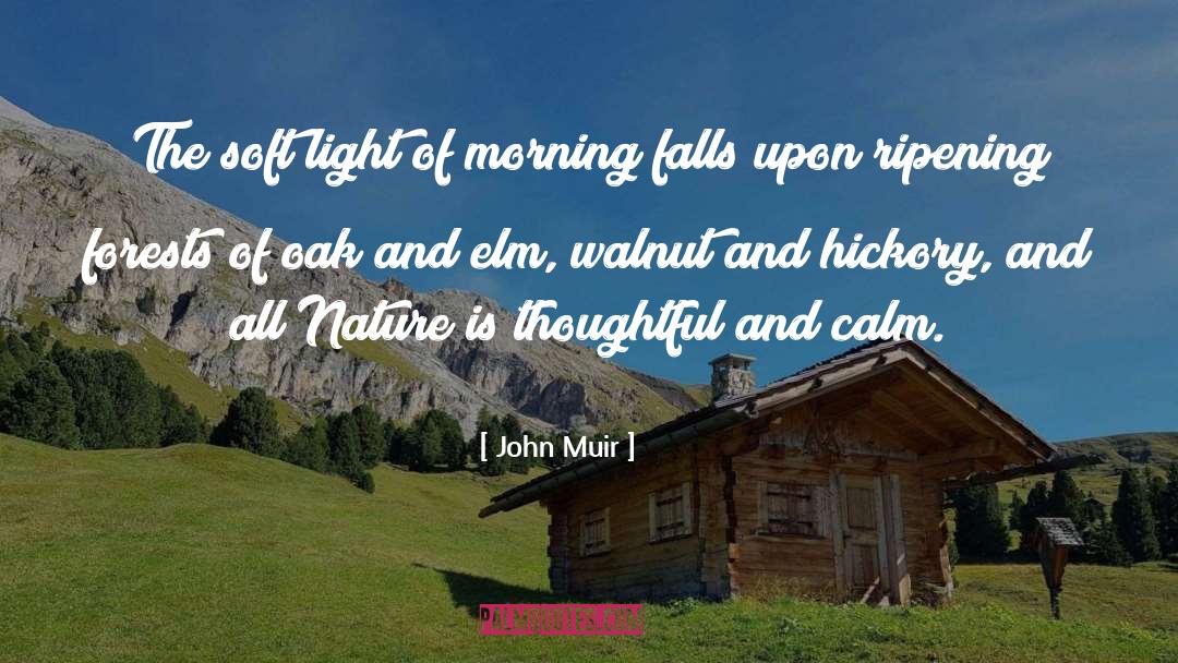 Avis Muir quotes by John Muir