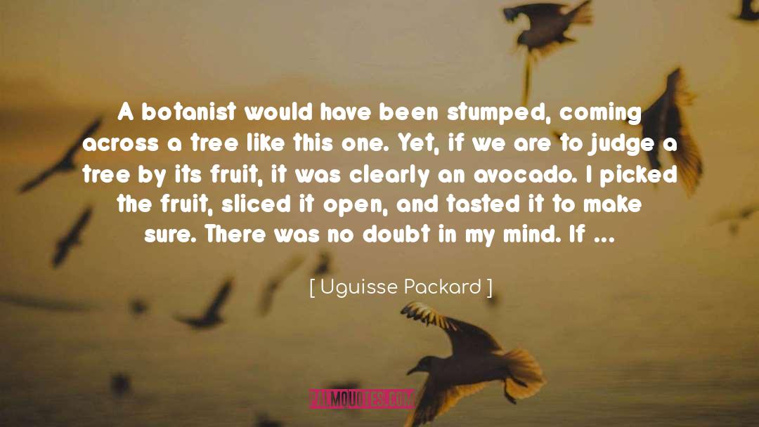 Avocado quotes by Uguisse Packard