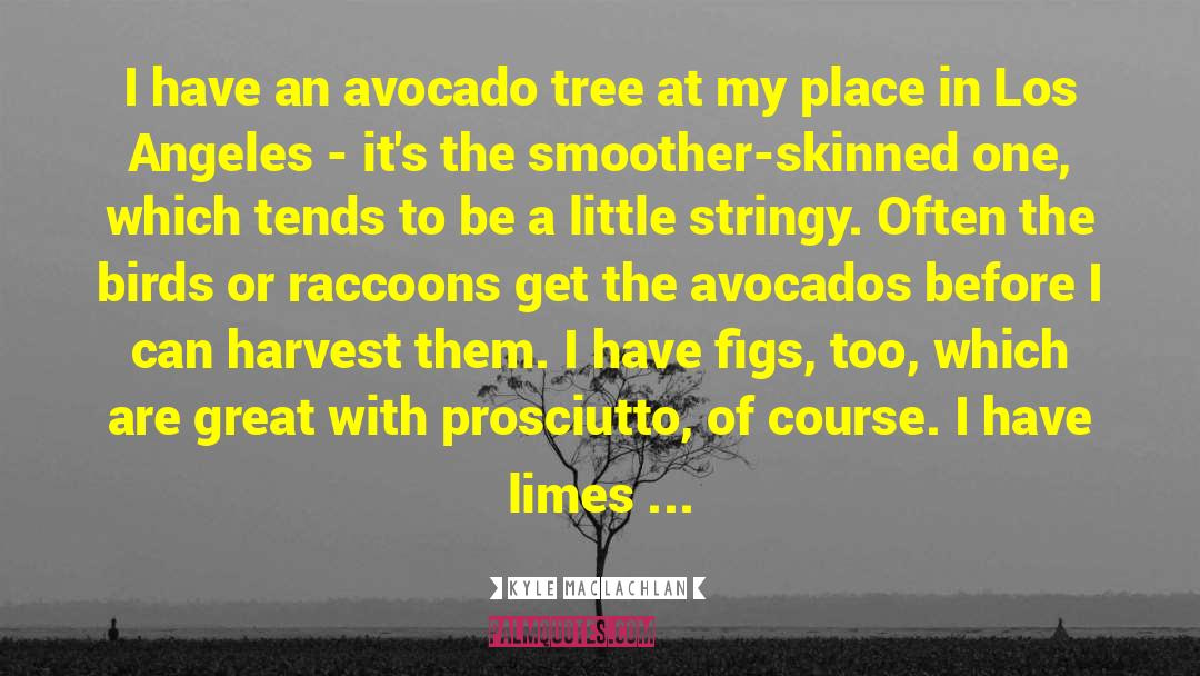 Avocados quotes by Kyle MacLachlan