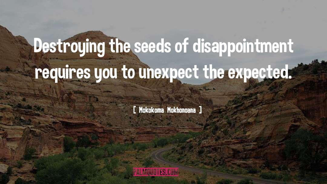 Avoid Disappointment quotes by Mokokoma Mokhonoana
