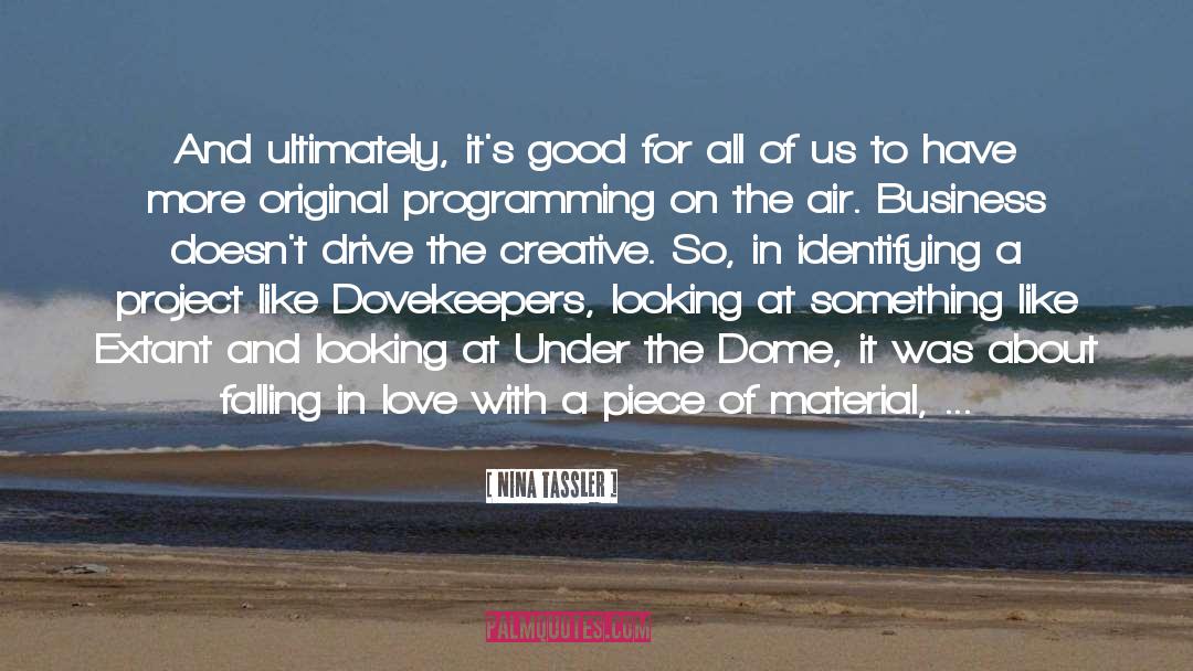 Avoid Falling In Love quotes by Nina Tassler