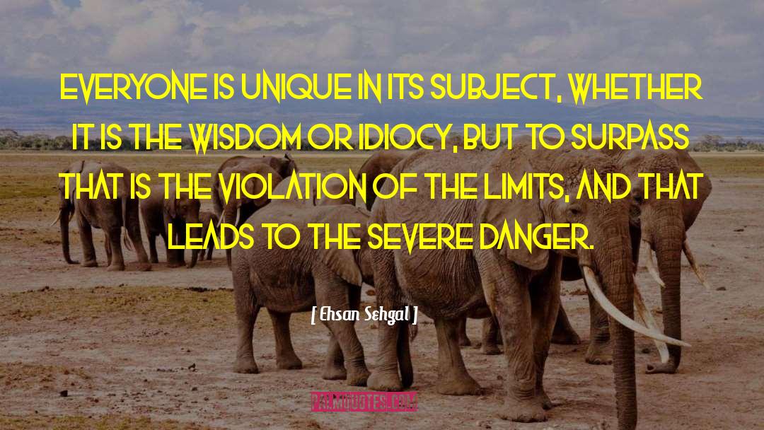 Avoidance Of Idiocy quotes by Ehsan Sehgal