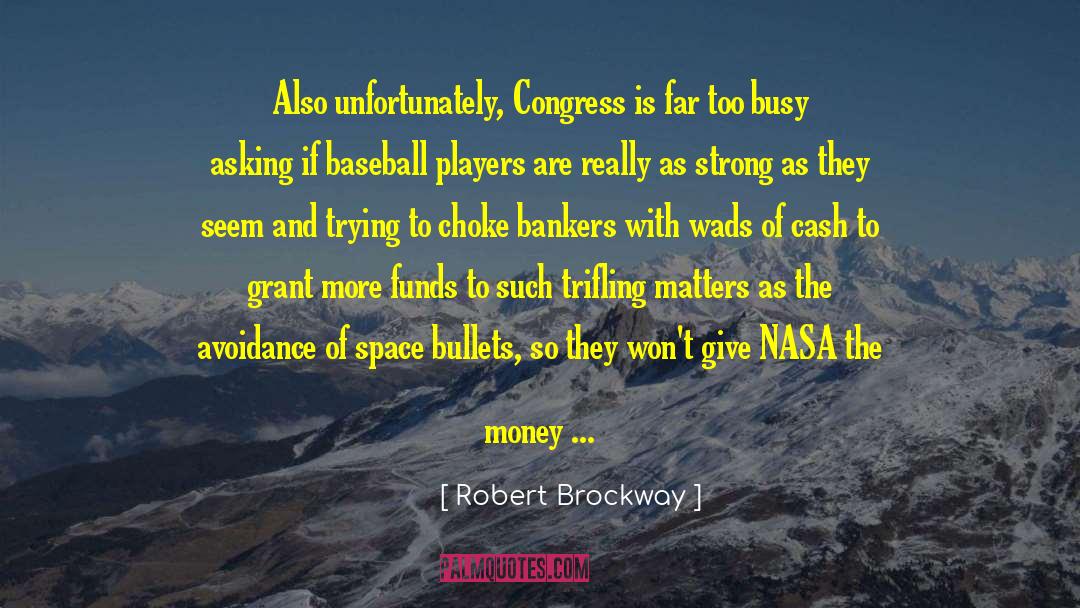 Avoidance Of Idiocy quotes by Robert Brockway