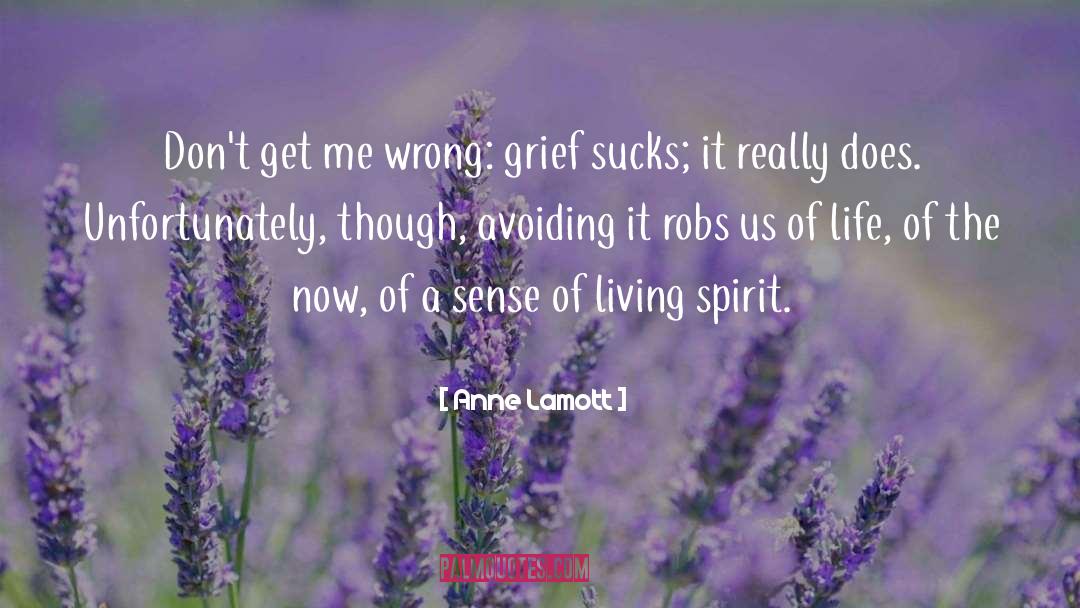 Avoiding Issues quotes by Anne Lamott