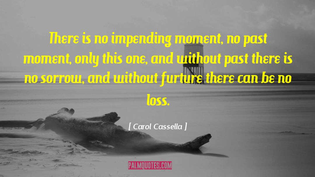Awaited Moment quotes by Carol Cassella