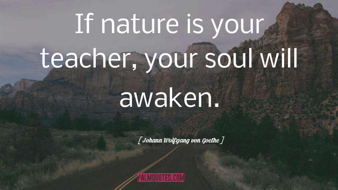 Awaken quotes by Johann Wolfgang Von Goethe