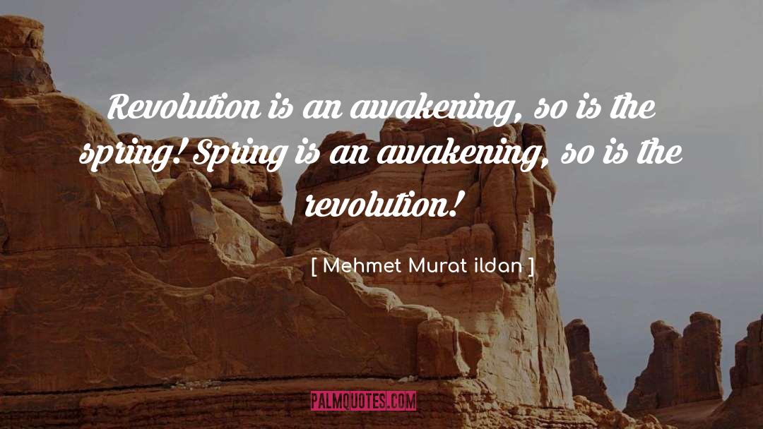Awakening Consciousness quotes by Mehmet Murat Ildan