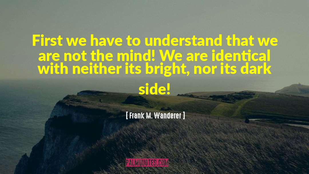 Awakening Consciousness quotes by Frank M. Wanderer