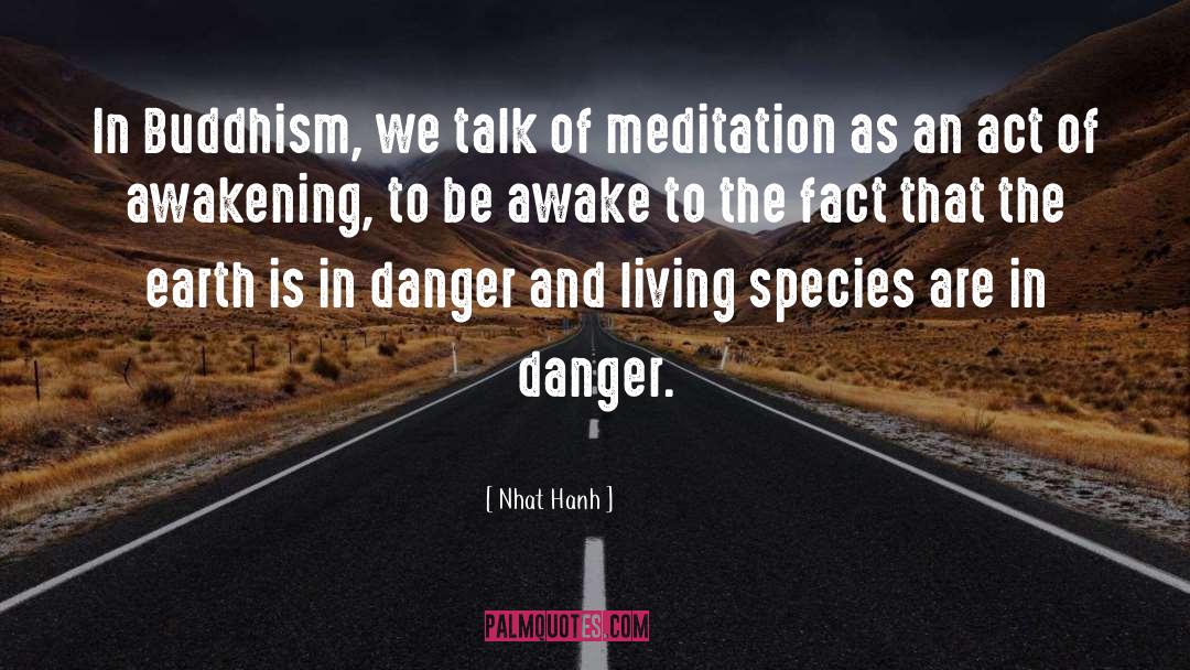 Awakening Nind quotes by Nhat Hanh