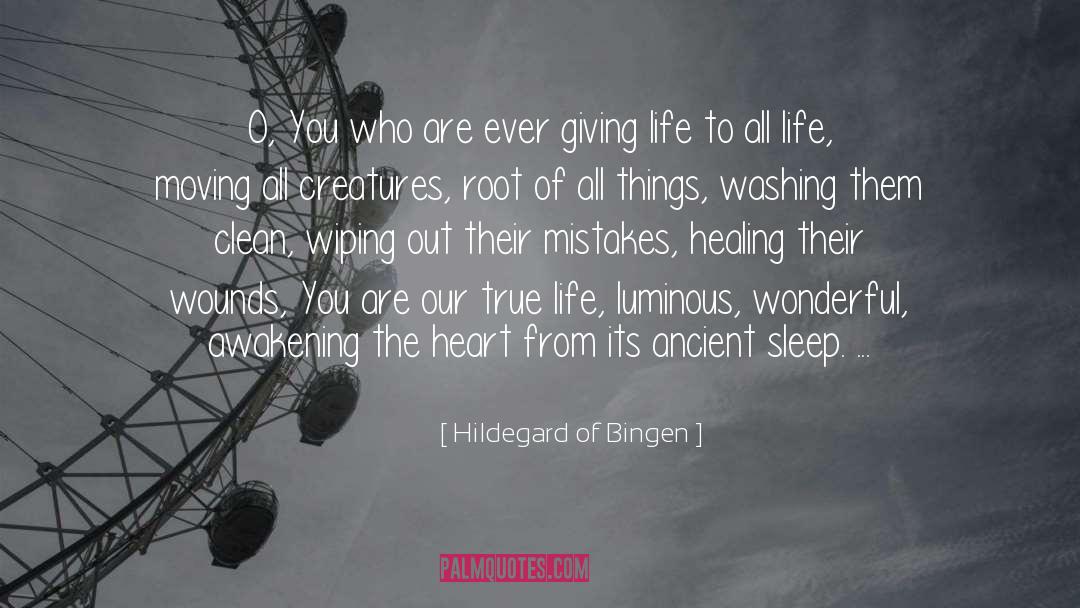 Awakening Nind quotes by Hildegard Of Bingen