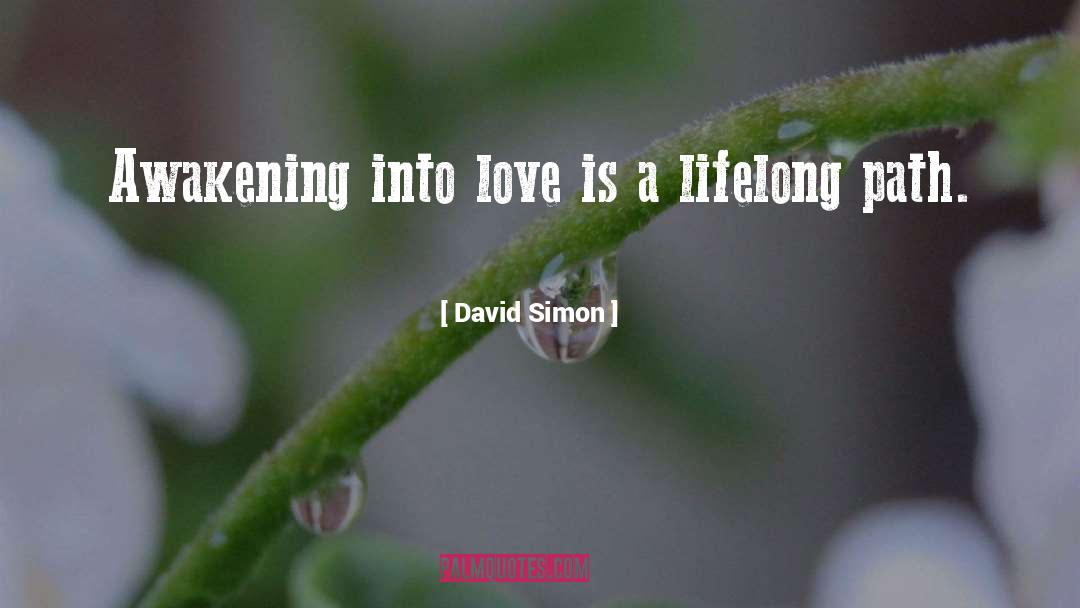 Awakening Process quotes by David Simon