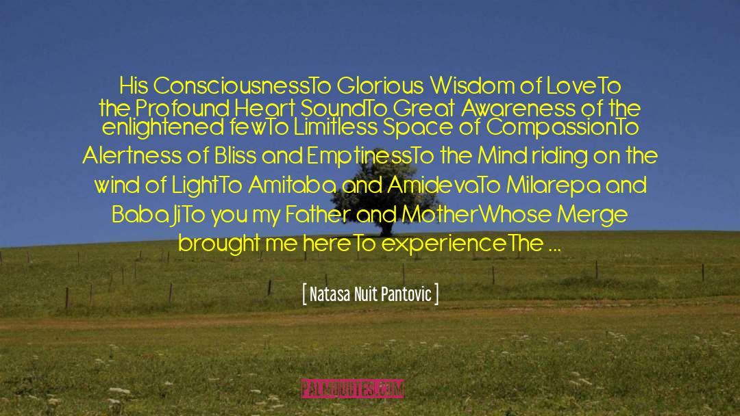 Awakening The Consciousness quotes by Natasa Nuit Pantovic