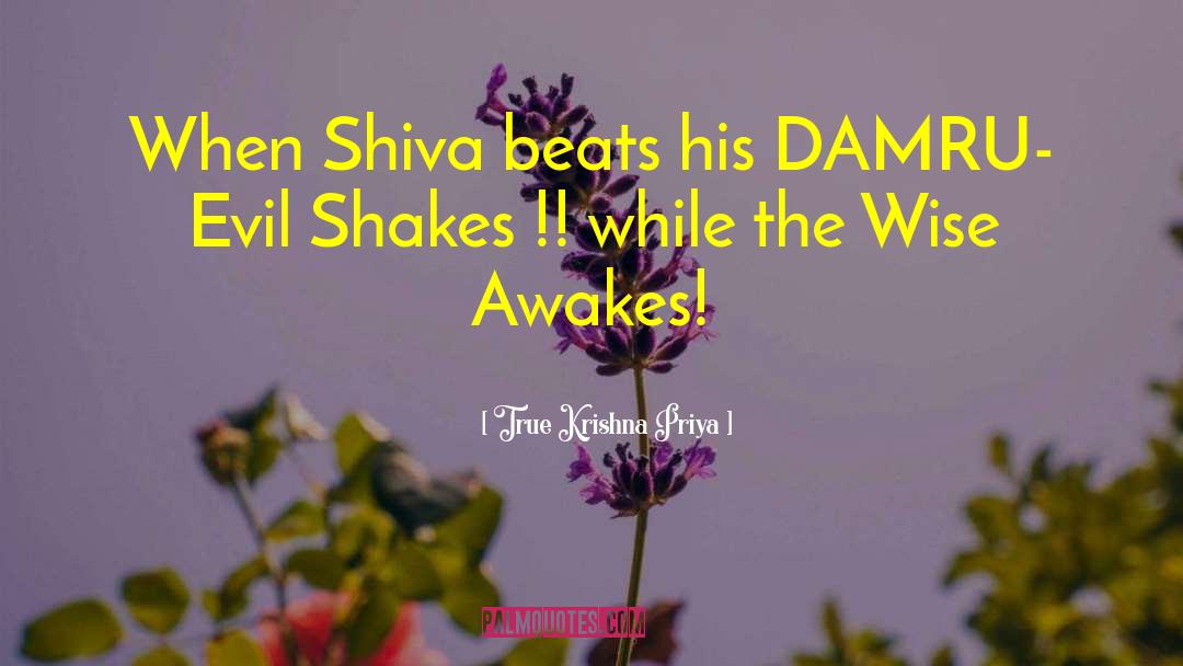 Awakes quotes by True Krishna Priya