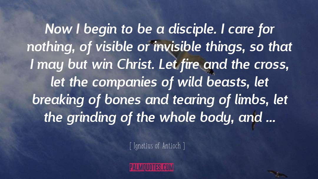 Award Winning quotes by Ignatius Of Antioch