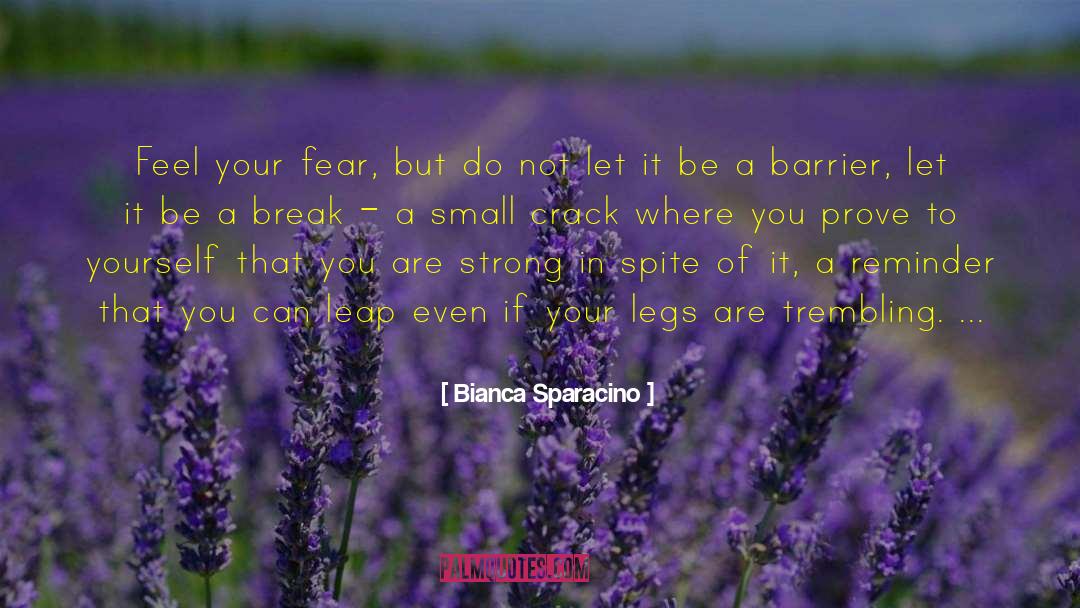Awarded Crack quotes by Bianca Sparacino