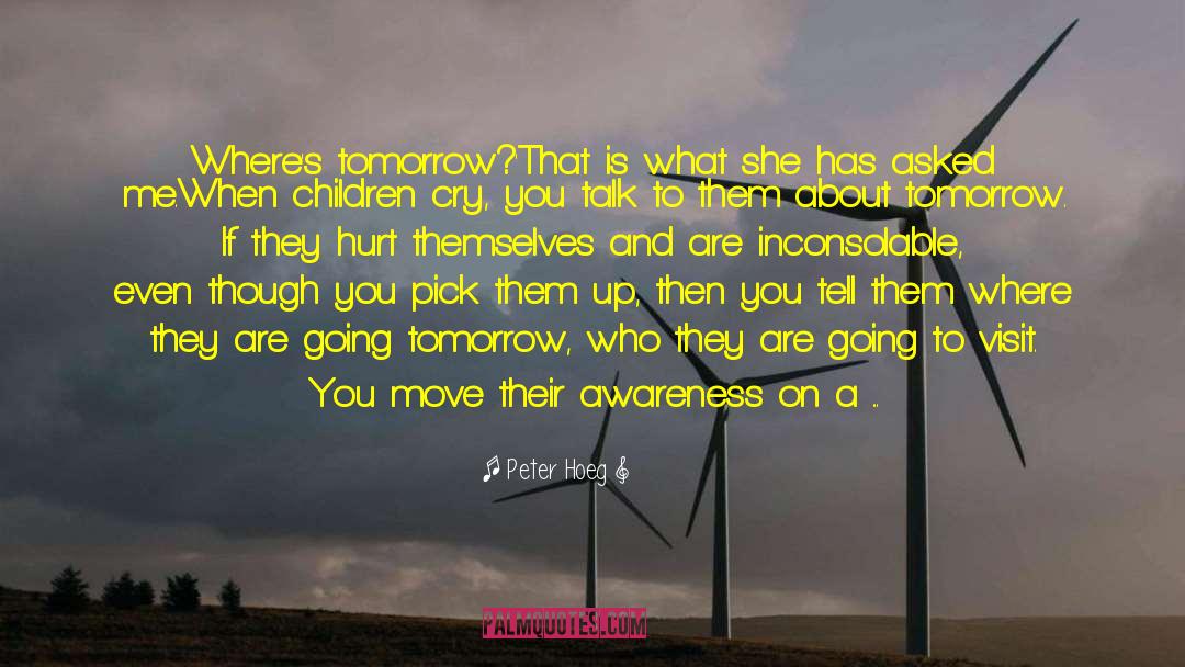 Awareness And Attitude quotes by Peter Hoeg