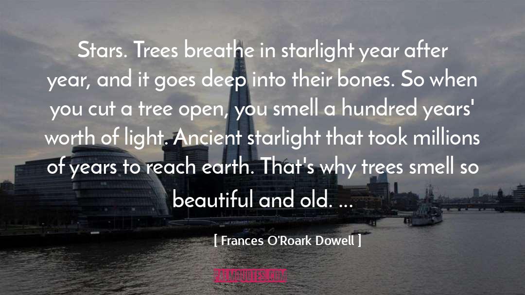 Awash In Starlight quotes by Frances O'Roark Dowell