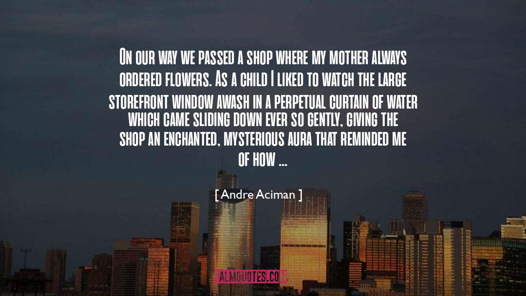 Awash quotes by Andre Aciman