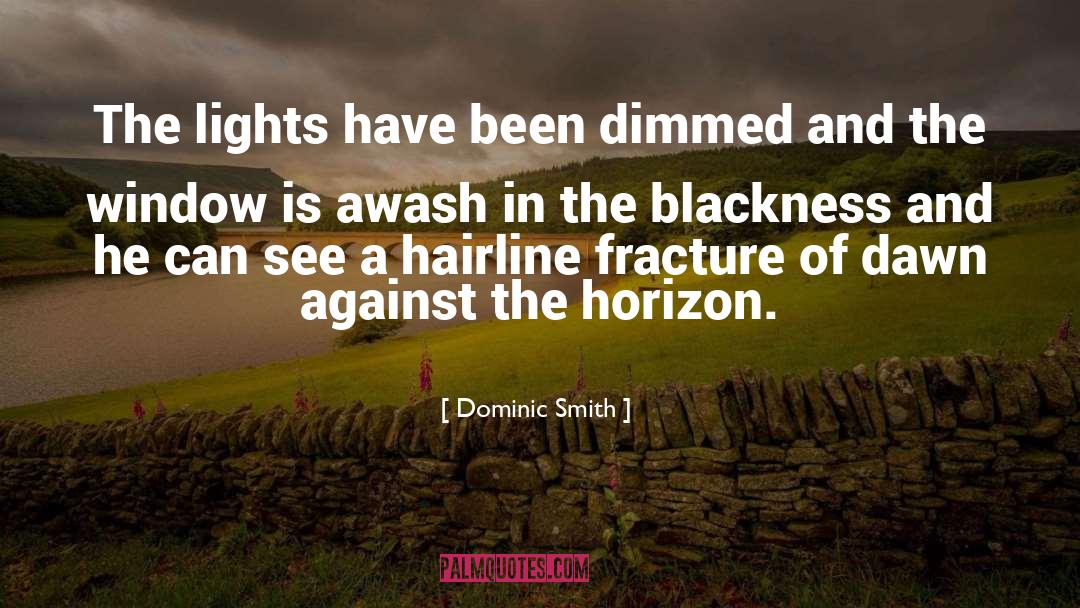 Awash quotes by Dominic Smith