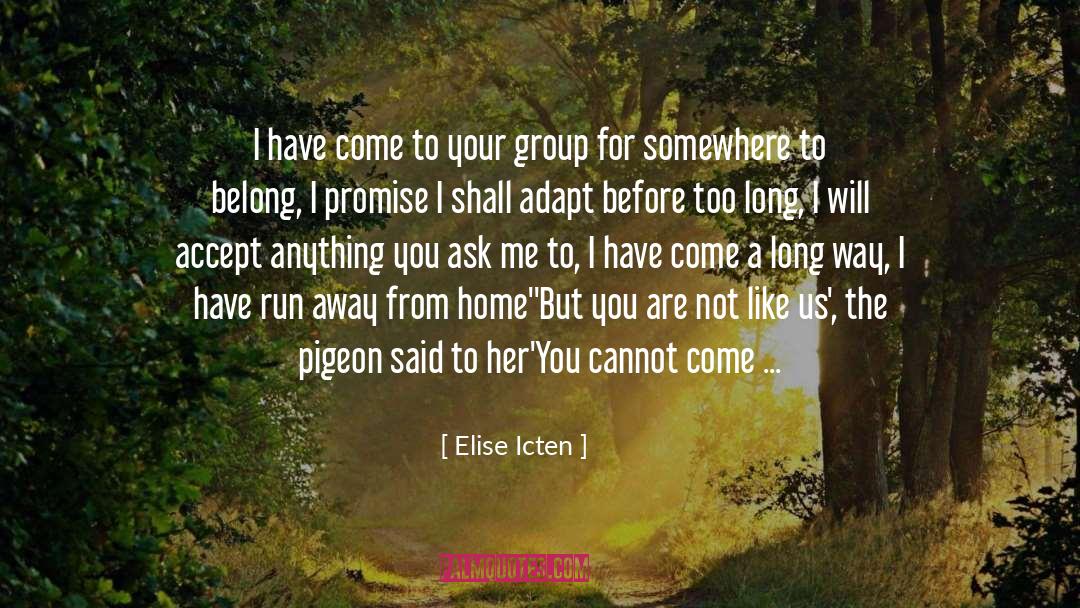 Away From Home quotes by Elise Icten