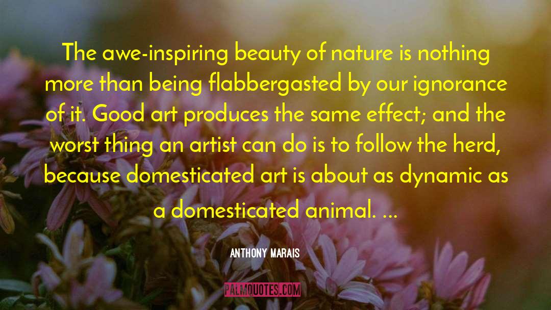 Awe Inspiring quotes by Anthony Marais