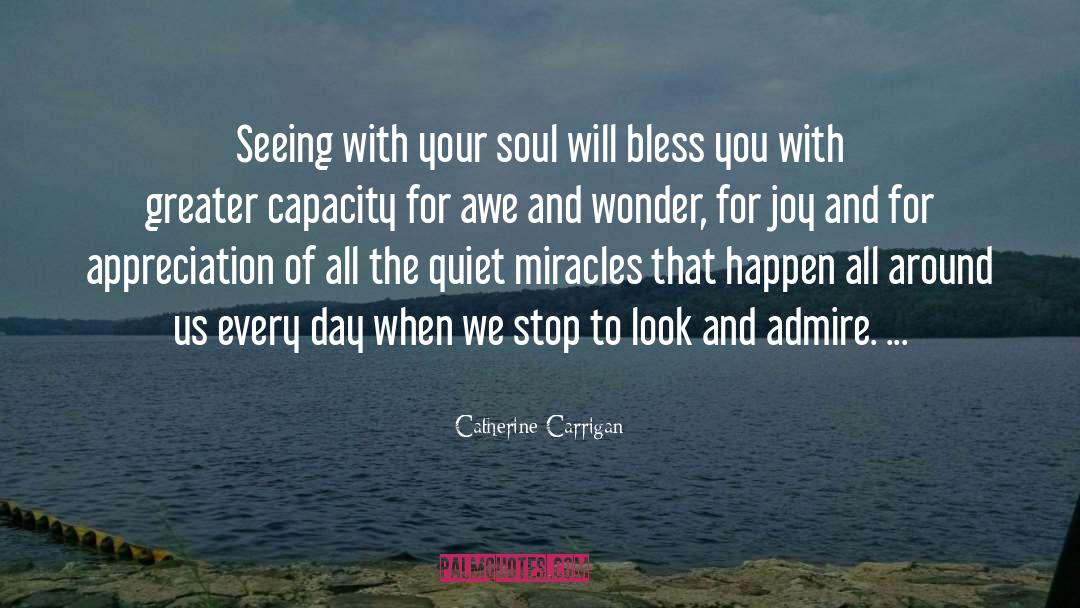 Awe quotes by Catherine Carrigan