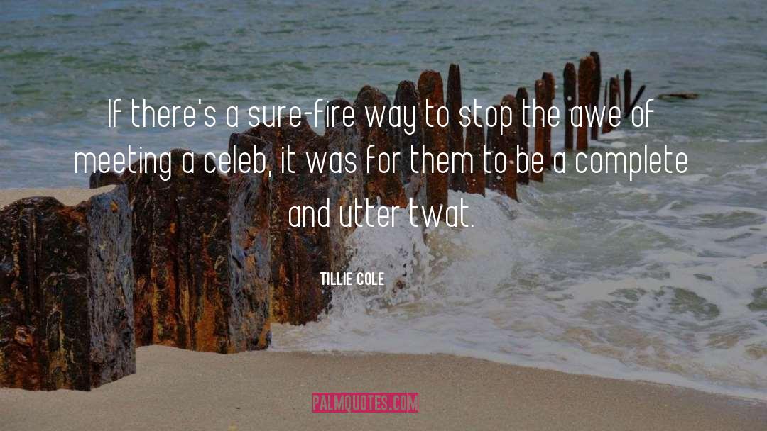 Awe quotes by Tillie Cole