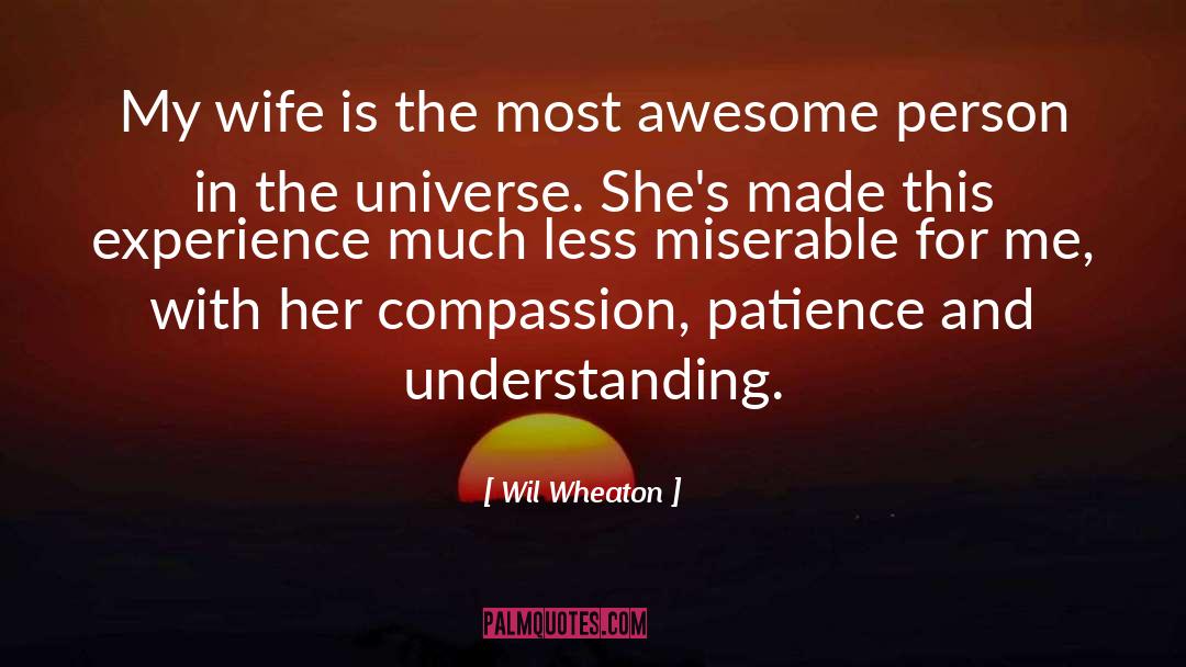 Awesome Chick quotes by Wil Wheaton