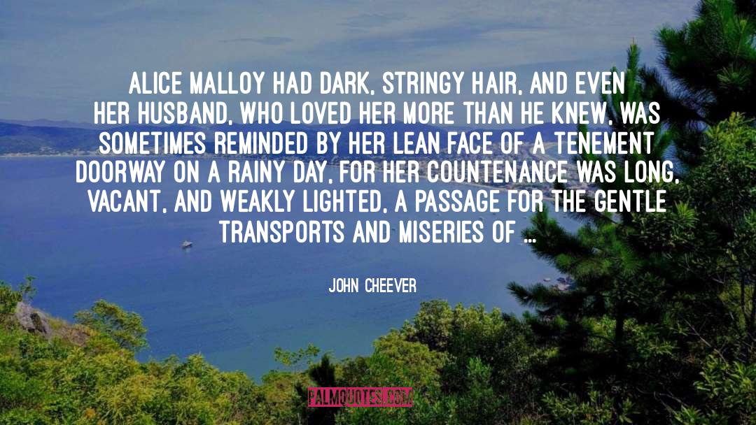 Awesome Metaphors quotes by John Cheever