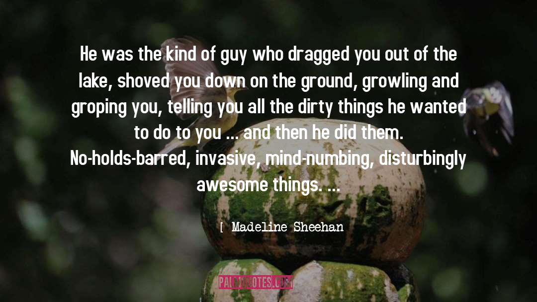 Awesome Things quotes by Madeline Sheehan