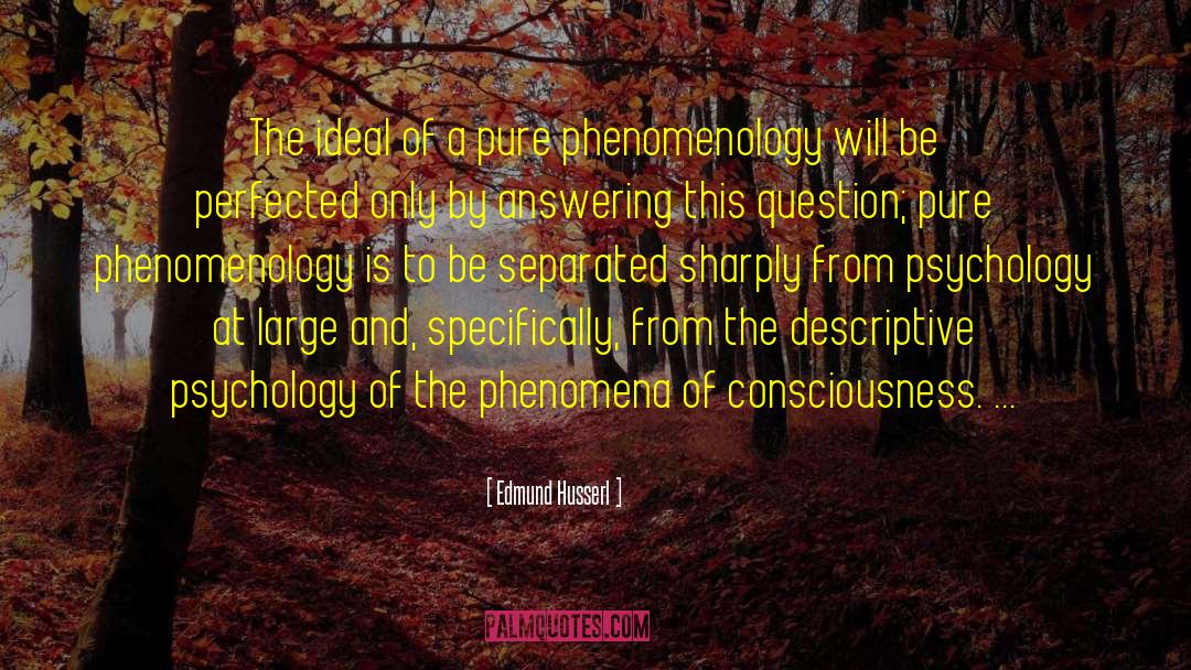 Awesomely Large quotes by Edmund Husserl