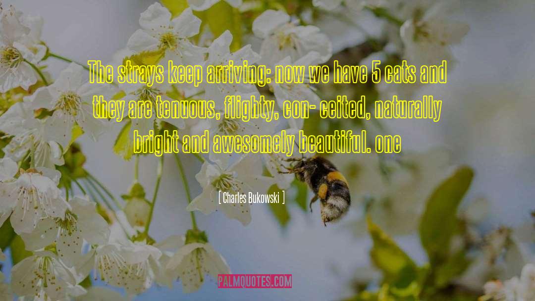 Awesomely Luvvie quotes by Charles Bukowski