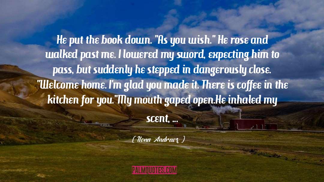 Awesomeness quotes by Ilona Andrews