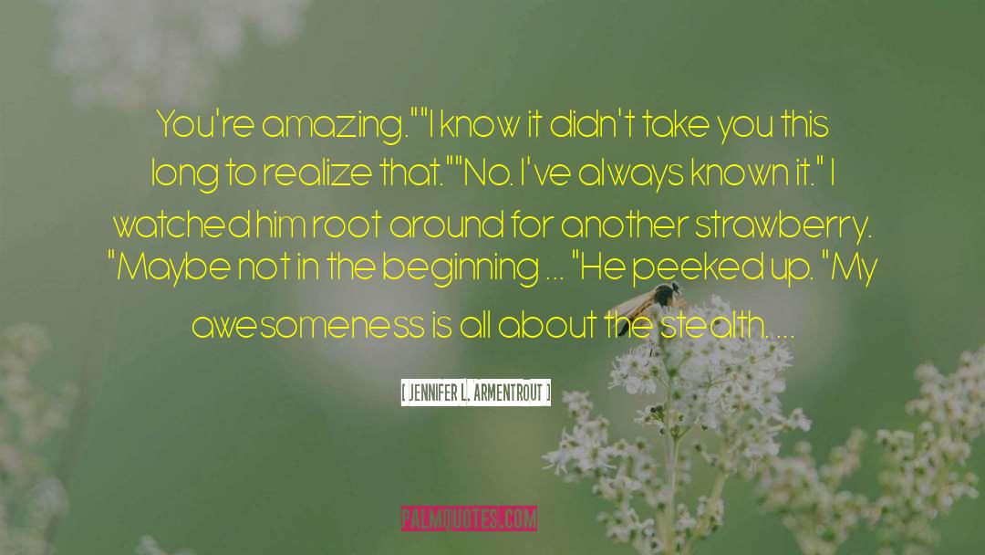 Awesomeness quotes by Jennifer L. Armentrout