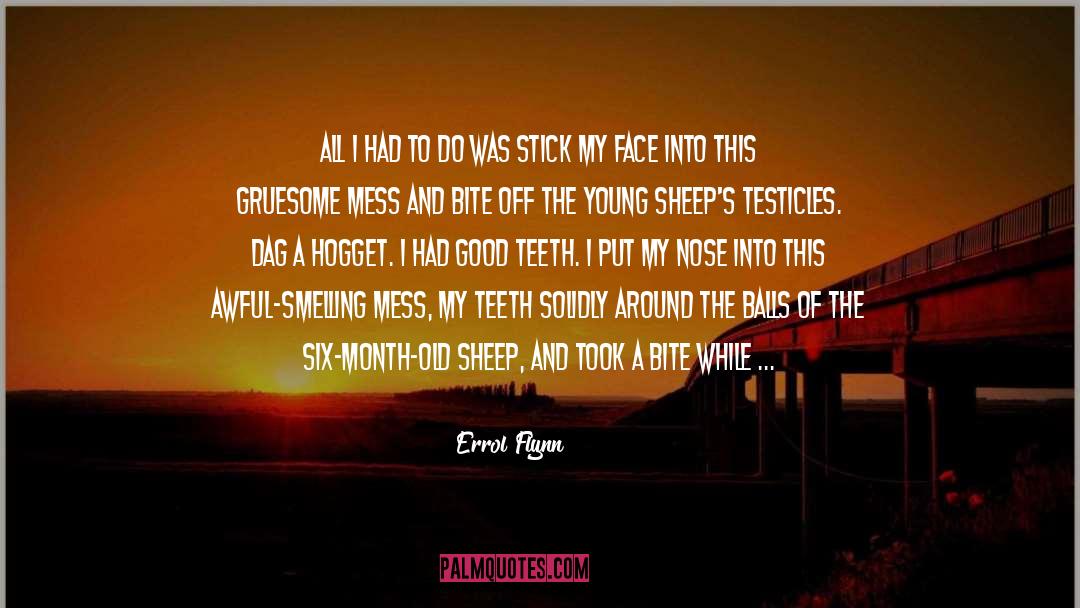 Awful quotes by Errol Flynn