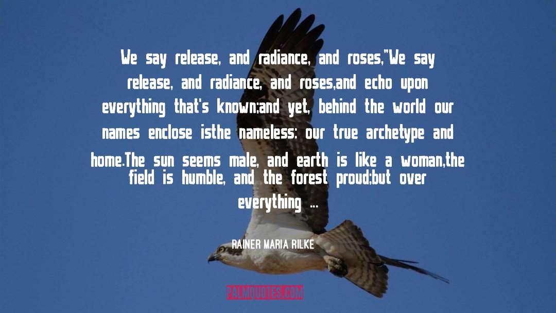Awkward Silence quotes by Rainer Maria Rilke