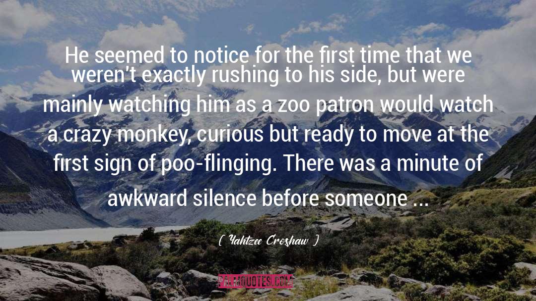 Awkward Silence quotes by Yahtzee Croshaw