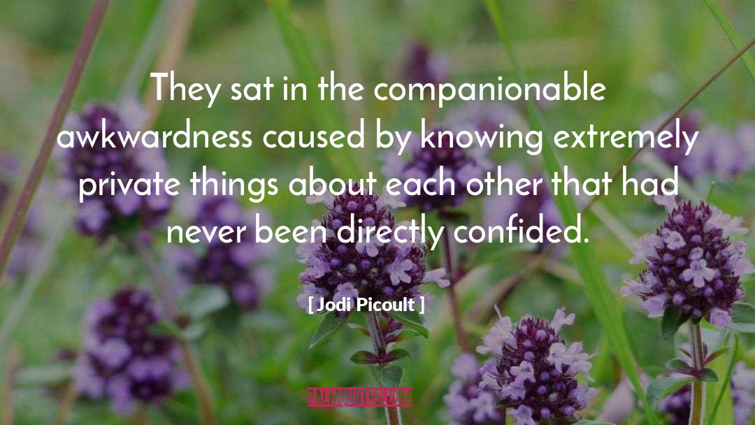 Awkwardness quotes by Jodi Picoult