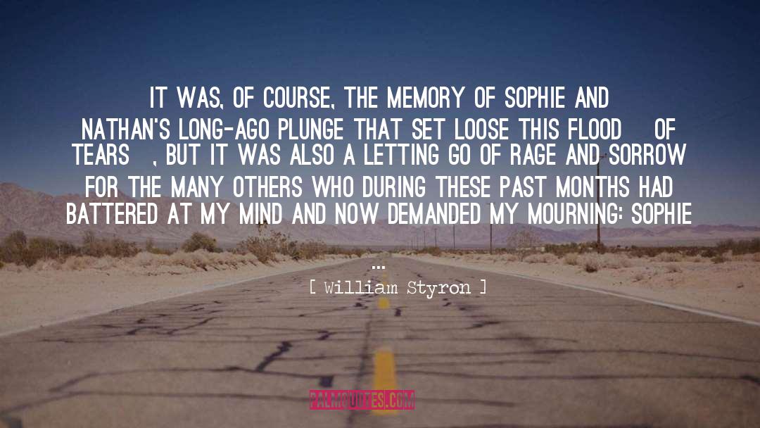 Awoke quotes by William Styron